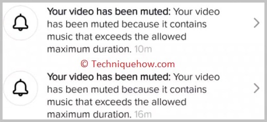 TikTok muted my video - why and how to fix this. Screenshot of Your video has been muted message.