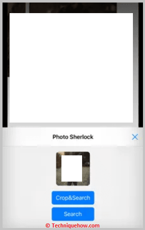 Click on search button