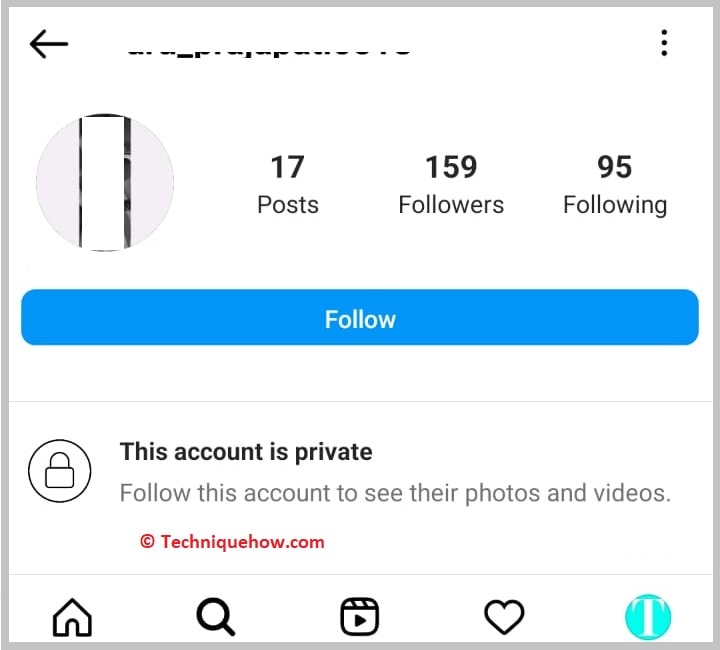 Private Account's Posts Visibility
