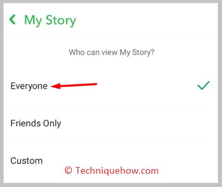 View Story of Private Snapchat Profiles