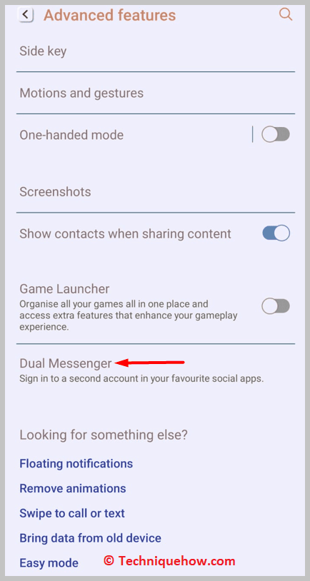 click on the Dual Messenger