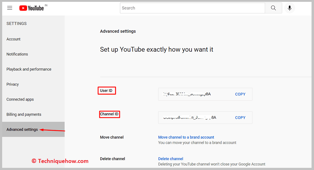 your user ID and channel ID