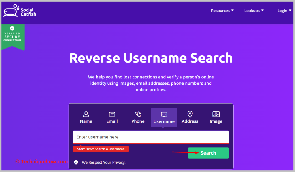 Click on the green Search