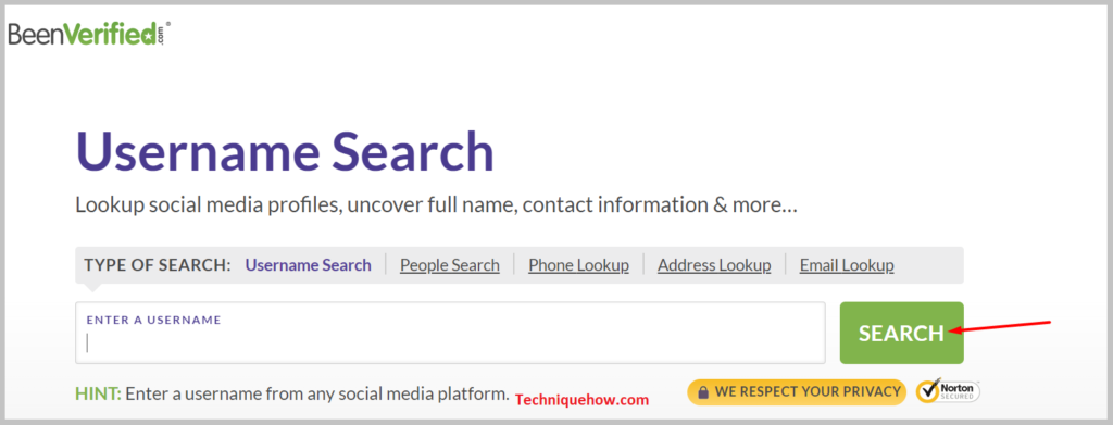 Then click on the green SEARCH