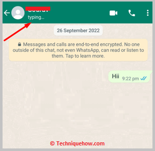 WhatsApp Not Showing Online