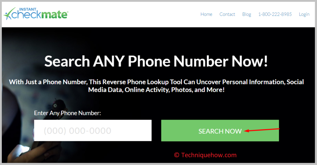 click on the SEARCH NOW