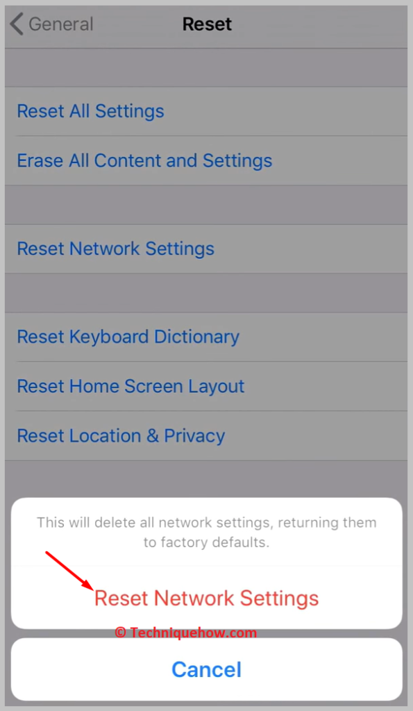 clicking on Reset Network Settings in red