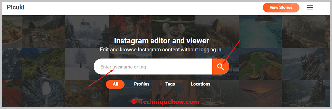 Instagram editor and viewer
