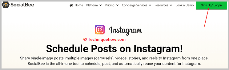 Socialbee