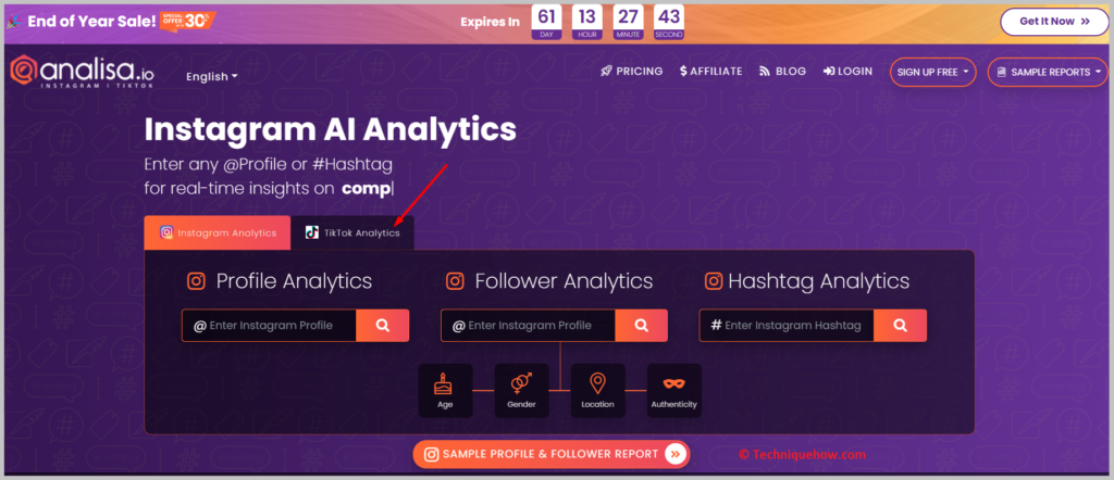 TikTok Analytics