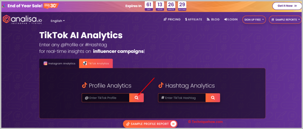 TikTok Analytics section