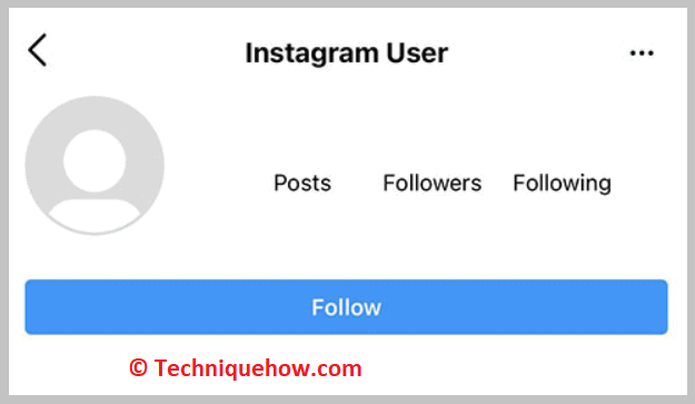 Instagram User on Profile