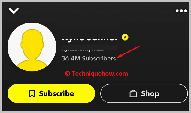 Subscription Count Label