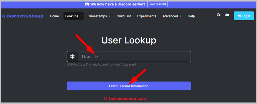 Click on the Fetch Discord Information option