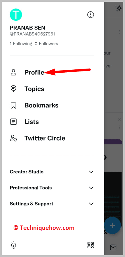 click on the Profile option