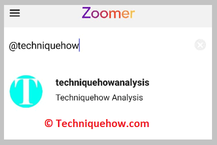 want to search on Zoomer
