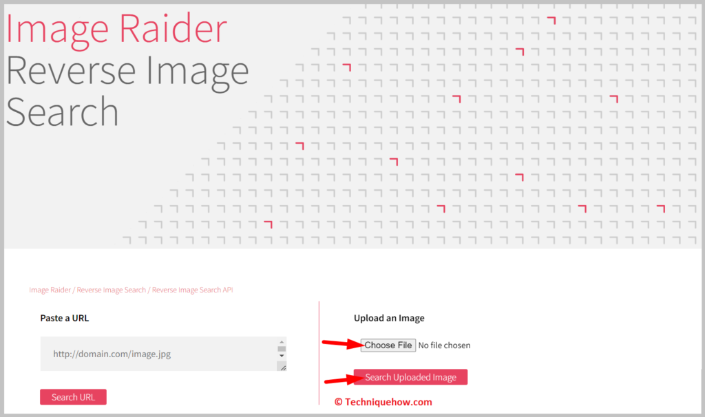 Image Raider reverse