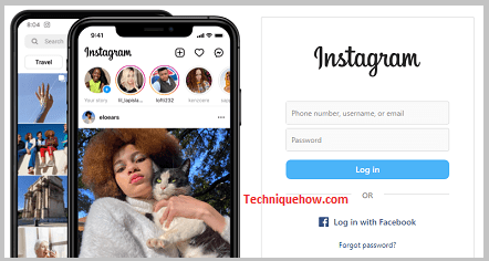 Through the Instagram website
