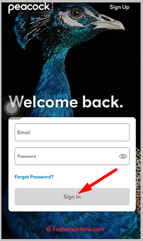 Click on sign in button