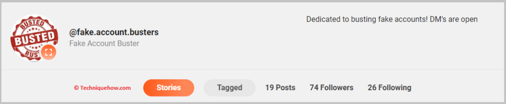 FakeAccountBuster