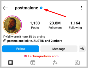 Instagram Verification Badge