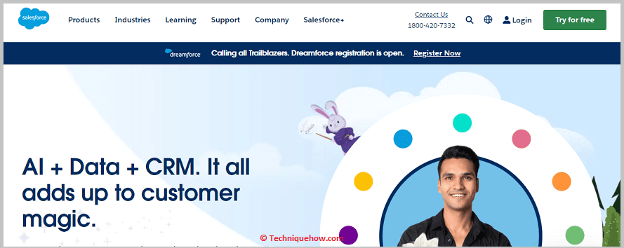 Salesforce User Profile Search