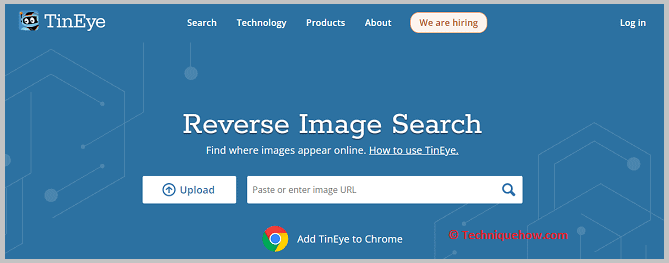 Reverse image search