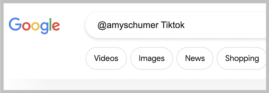 enter the TikTok username